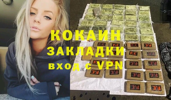 2c-b Горно-Алтайск