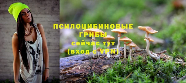 меф Горняк