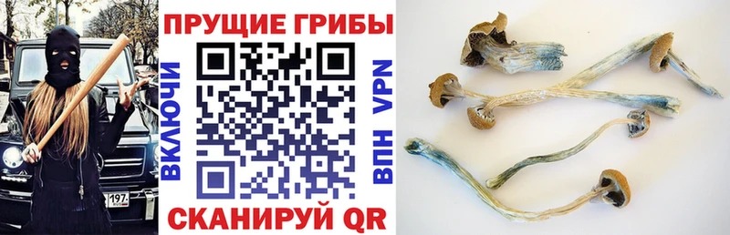Галлюциногенные грибы мицелий  omg ссылки  Балашиха 